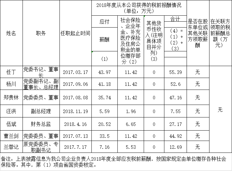 星空入口（中国）官方网站负责人2018年度薪酬情况