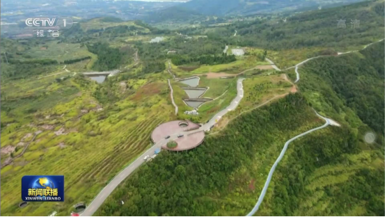 迎橄榄丰收 助乡村振兴 四川旅投聚峰谷油橄榄产业带动金堂公园城市绿色低碳发展